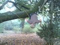 plumpton fun 1