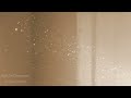 Sylvain Chauveau - A Cloud Of Dust