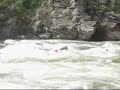 Salmon Falls the Hard Way