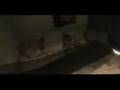 videos de Farcry2