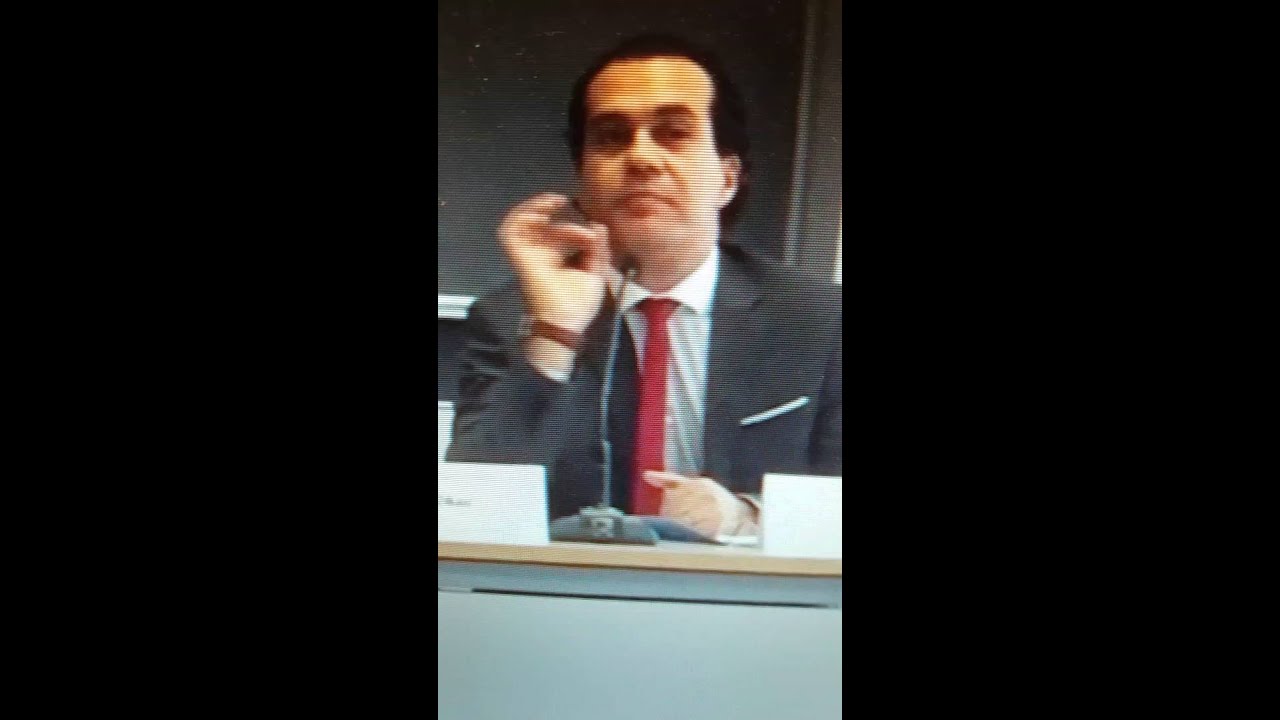 Emile Aoun- French- equality of arms