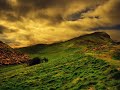 plejik-babylonian-tribal-music.html
