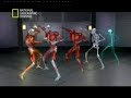 Asombroso golpe de la muerte ninja