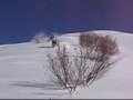 Click here to watch this video Davos Freeriden 22.01.2009