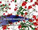 Zece-mii-pentru-1-5-