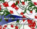 Zece-mii-pentru-1-5-