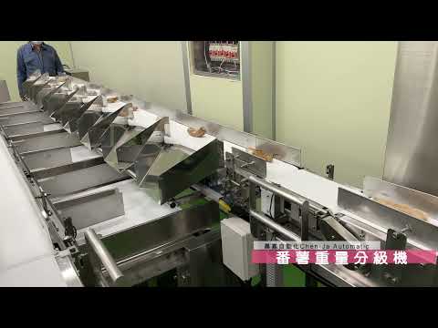 晨嘉自動化-番薯重量分級機