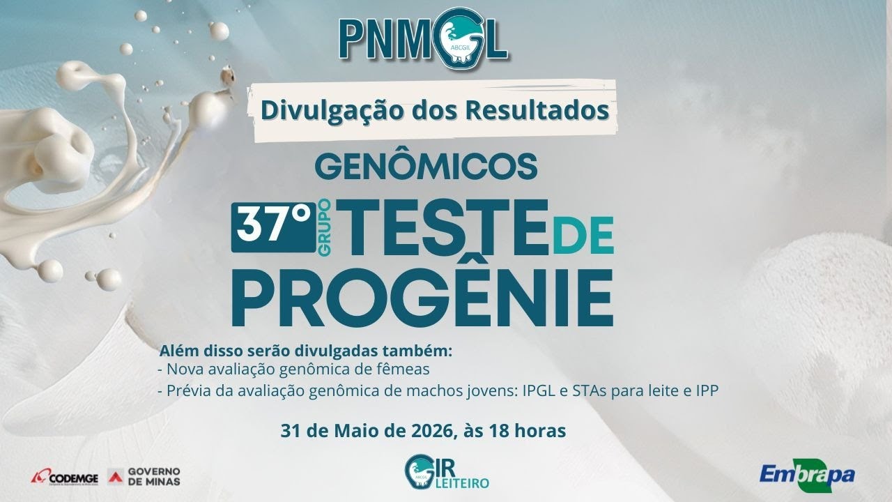 Divulgação resultados avaliação genômica touros do 37º Grupo do Teste de Progênie do Gir Leiteiro