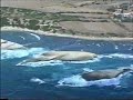 In aereo tra i campeggi e Santa Caterina