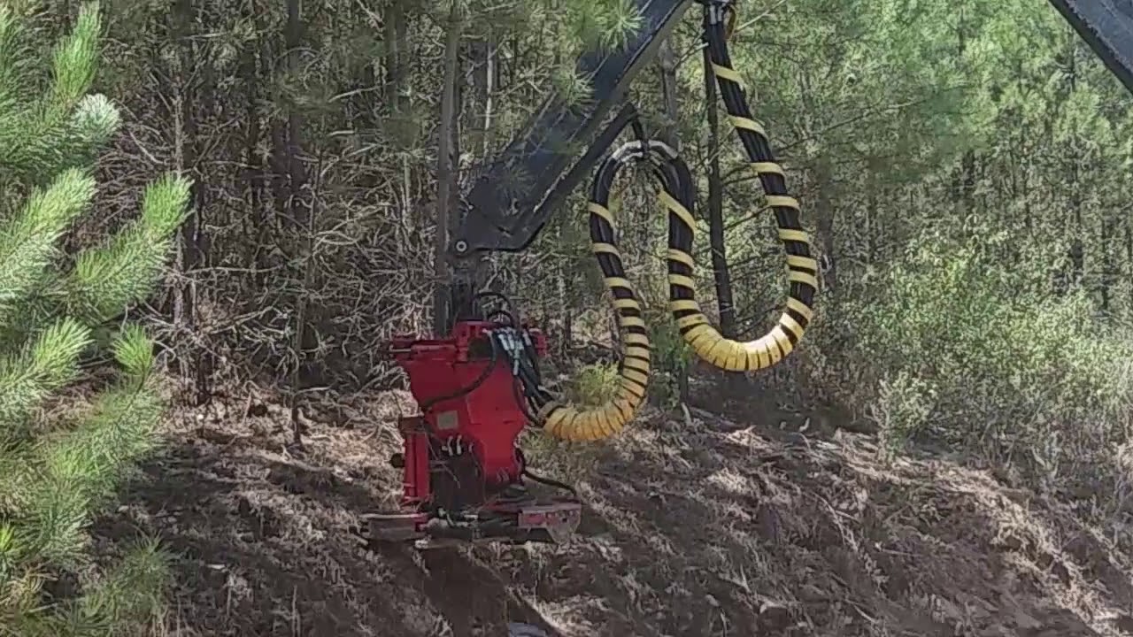 Cabeça Processadora Naarva - Serra S.Mamede Pt1