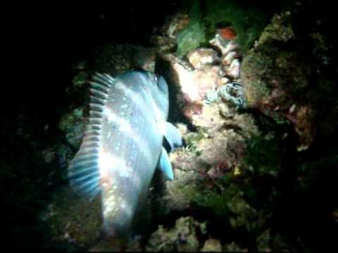nocturna 4-08-2010