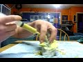 Handfeeding several baby birds