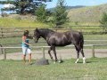 51QH7ggTQDU