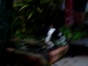 101_0891.MOV
