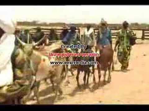 le niger