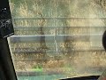 Lacko Farms Harvesting Soybeans November 8th 2009 in cab video