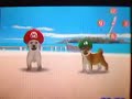 Nintendogs Action replay fun