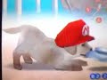 nintendogs