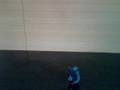 videos de Hunter...Rat...Snake---Winner?