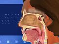 Patient Education Video Patient Education Video
