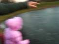 videos de CIMG2914.AVI