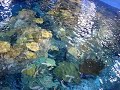 Long Beach Aquarium Behind the scenes