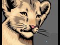 Multitouch Framework - Scalable Vector Graphics in OpenGL