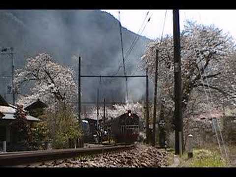 大井川鉄道　駿河徳山駅の桜①C56到着～発車