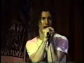 Lawn Vultures --- Cinderella Lawn Vultures --- Cinderella
