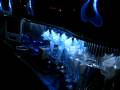 Stretch Ford Excursion Limousine