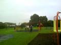 jackass in eccy