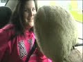 Die Schmitts, Kutenholz und Ich - WFG on Tour Part2 Die Schmitts, Kutenholz und Ich - WFG on Tour Part2