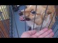 Click here to watch this video Unpleasant smell