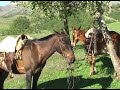 la quenuas   3ra parte