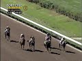 The winning race