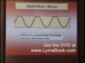 Nenah Sylver at the 2008 Rife Conference - DVD Preview