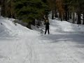 Maja's first day of Skijoring