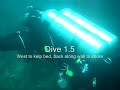 North Coast Fort Ross Scuba Dive North Coast Fort Ross Scuba Dive