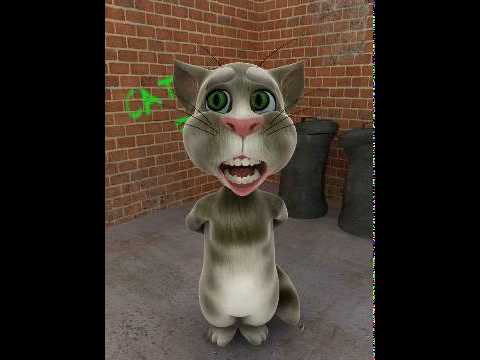 cat stuck in iPad