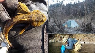 年末は青梅でソロキャンプ、カジカ釣って、多摩川の夜は最高です!!