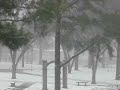 ASU Snow with Robert Frost