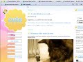 Internet Explorer 8 webslices overview
