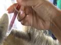 videos de BIOCHIP MANGALARGA 3