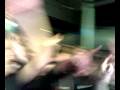 BIENAVENTURADOS29112008092.mp4