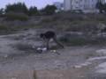 videos de Dasoupoli MM IMBA movie!