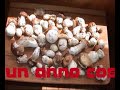 porcini extra super porcini extra super