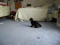 Running in Circles