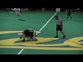 The Big Game CAL vs Stanford Lacrosse 2012