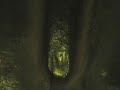 Stick Weld from Welding Home Study Course by The Welders Lens
