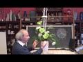 How To Make A Big Green And White Vase Arrangement.